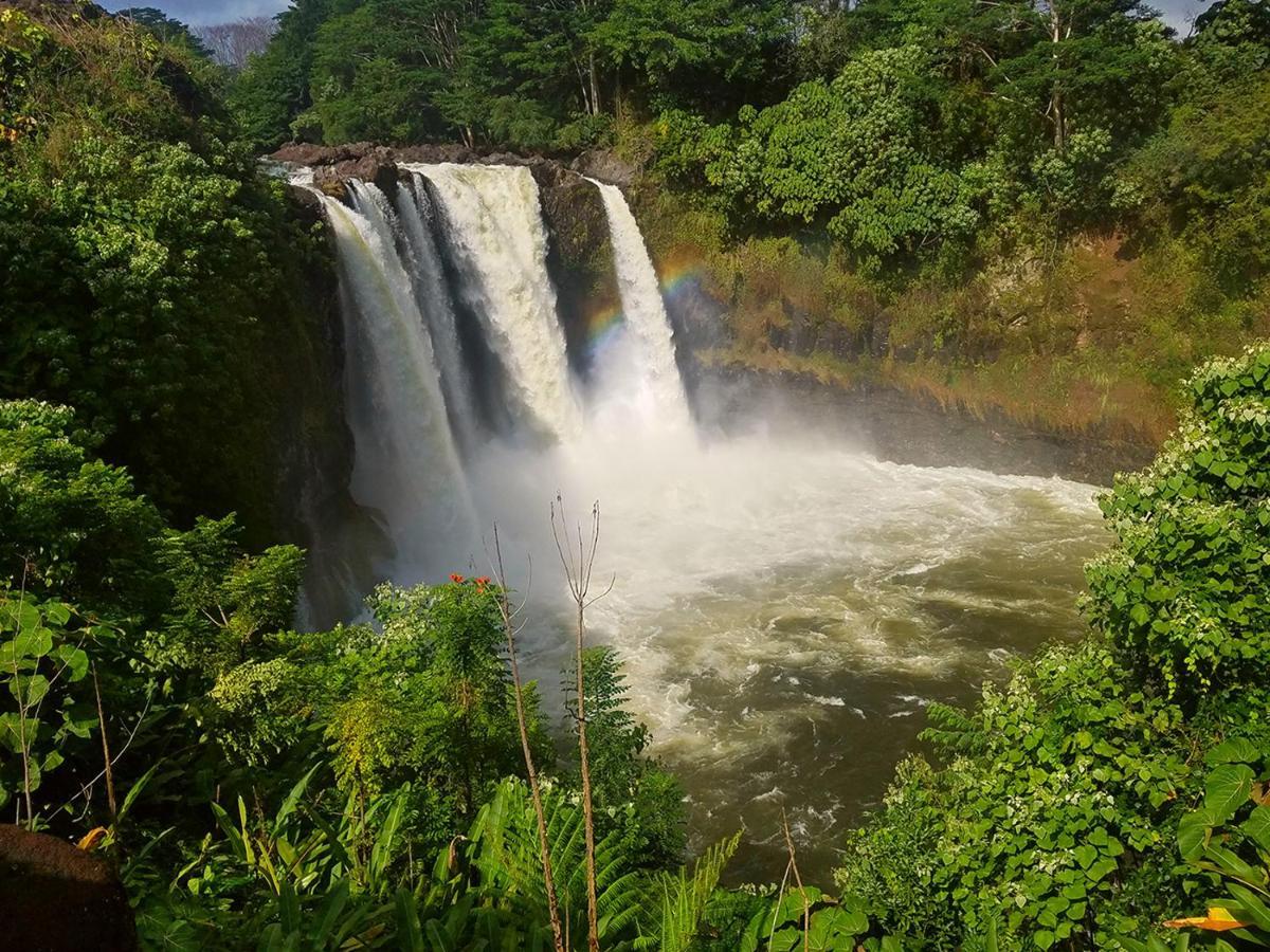 Alojamento de Turismo Selvagem Arnott's & Hiking Adventures *