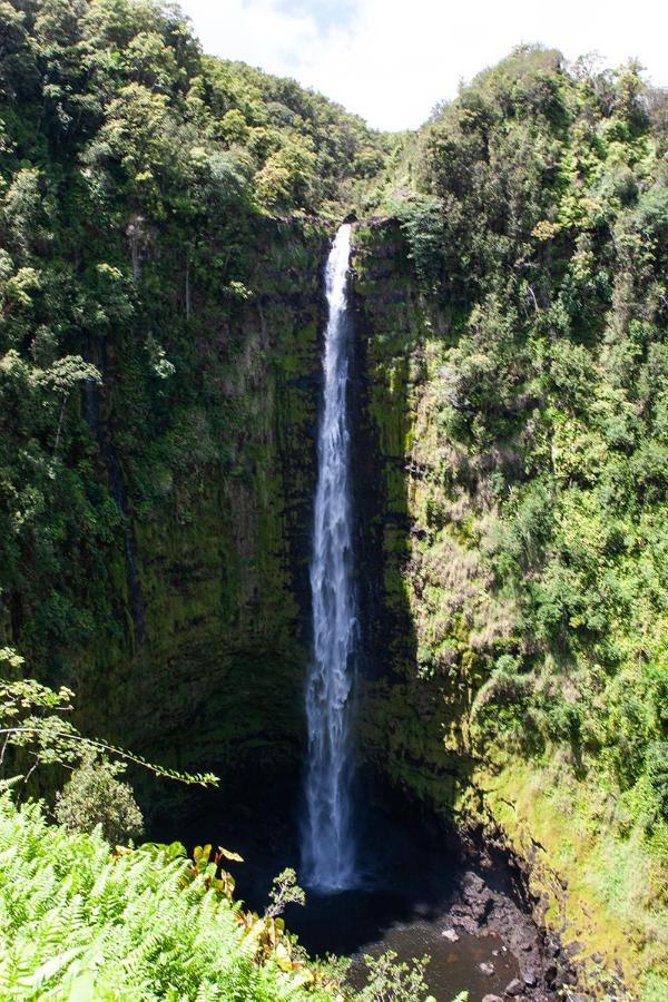 Arnott's & Hiking Adventures Alojamento de Turismo Selvagem *