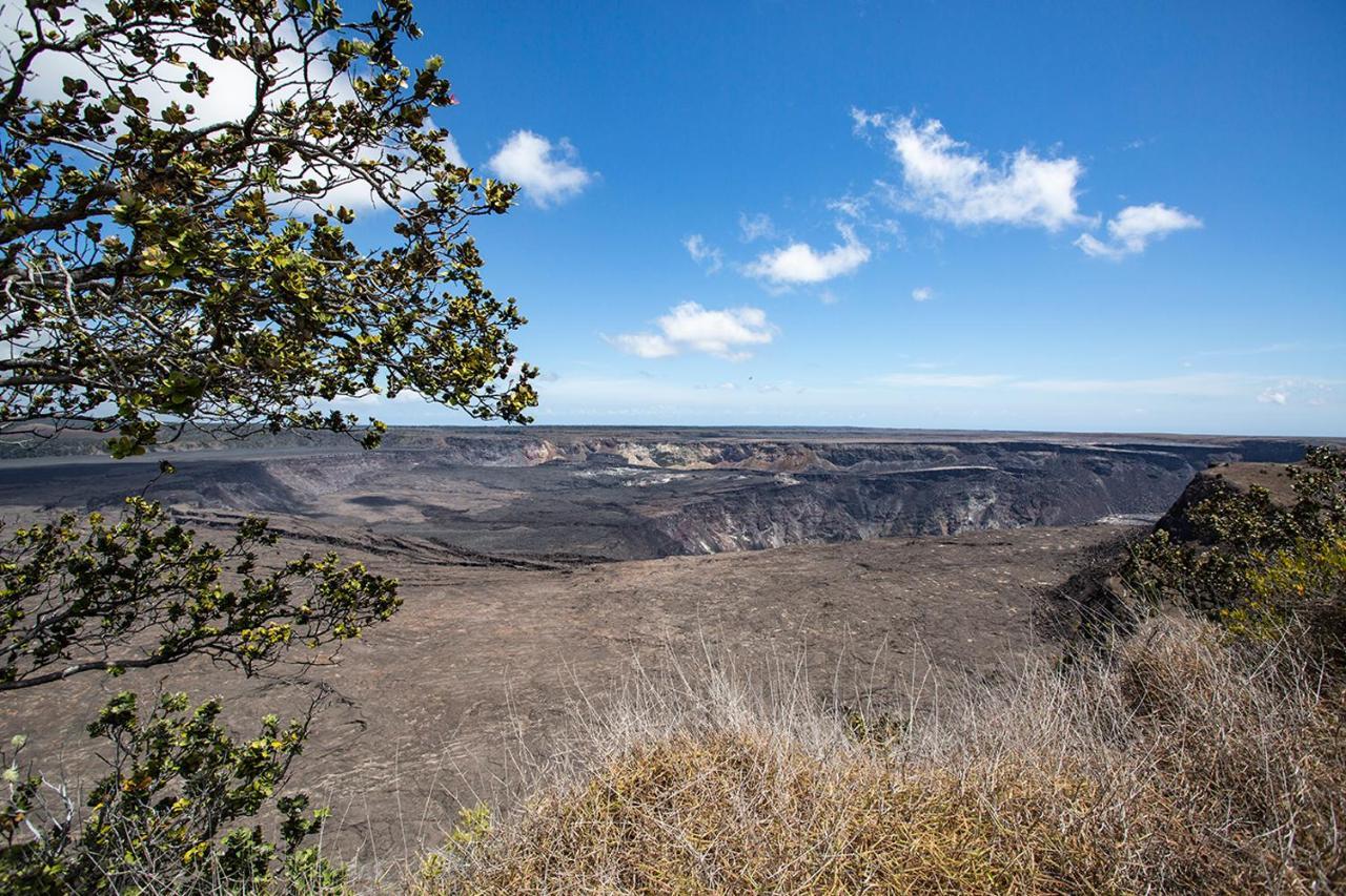 Alojamento de Turismo Selvagem Arnott's & Hiking Adventures *