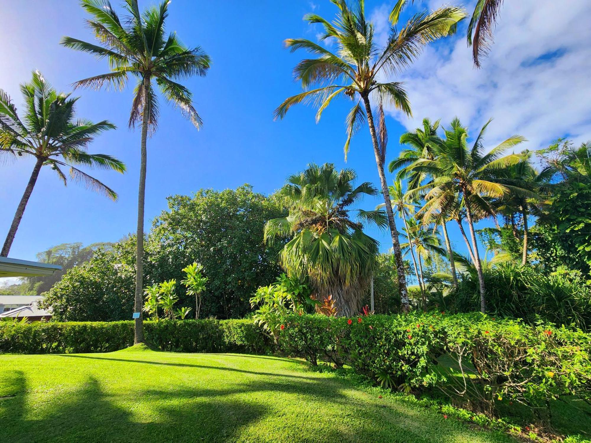 Alojamento de Turismo Selvagem Arnott's & Hiking Adventures Hilo