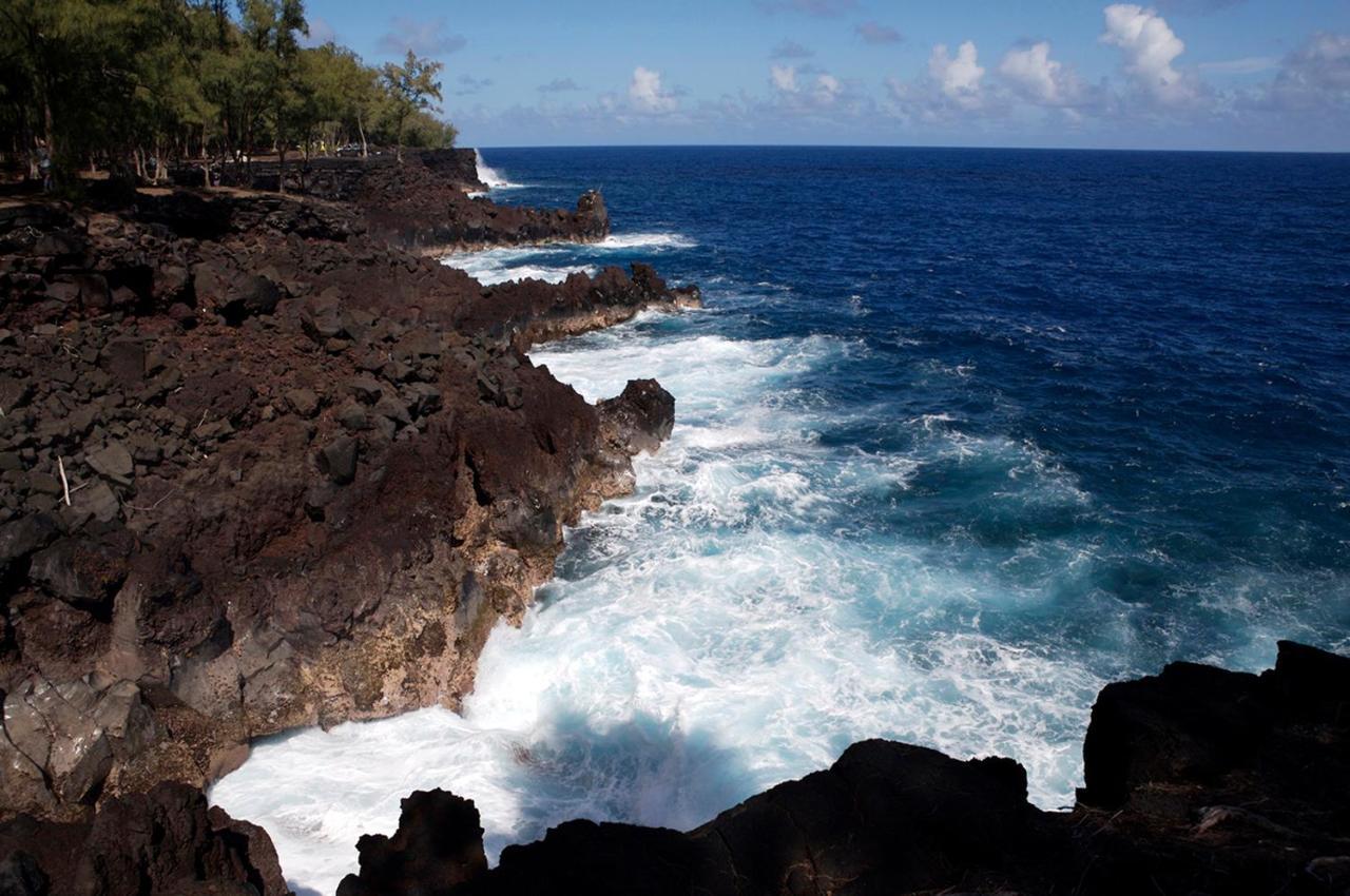 Arnott's & Hiking Adventures Hilo